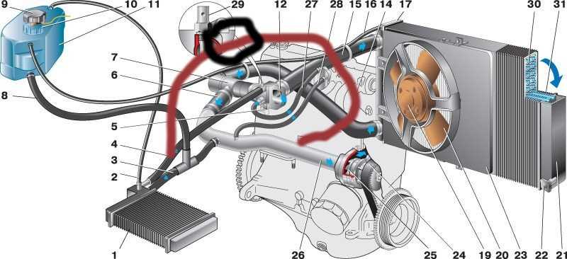 Система охлаждения ваз 2114 схема 8 клапанов