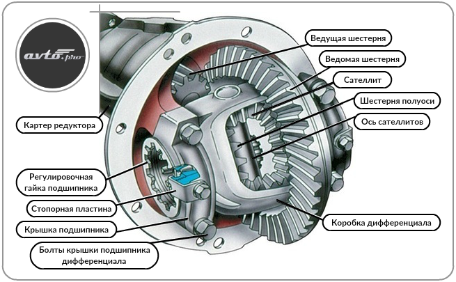 Устройство редуктора заднего моста