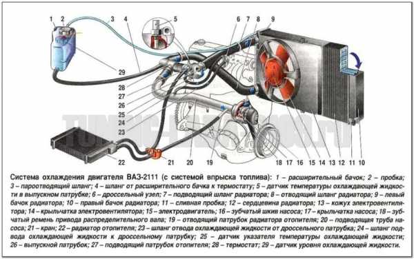 Устройство адсорбера ваз 2110